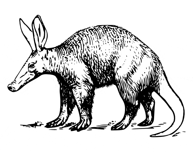 drawn aardvark coloring
