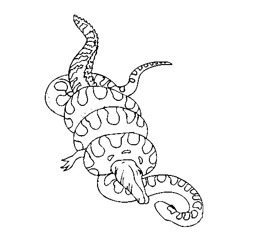 free Anaconda coloring page sheet print