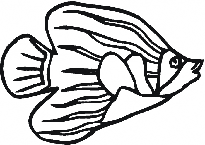 Free printable Angelfish coloring page