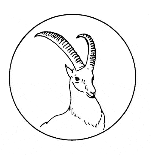 free Antelope coloring picture