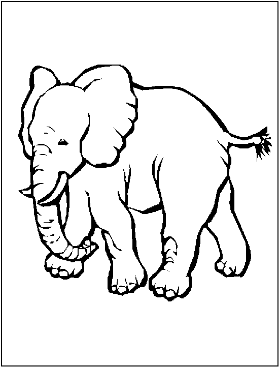 free Asian elephant coloring picture