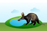 Aardvark