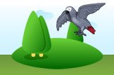 African Grey Parrot