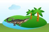Alligator