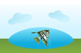 Angelfish