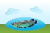 Arowana