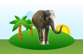Asian Elephant