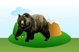 Black Bear