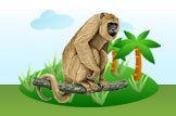 Black Howler Monkey