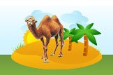 camel