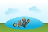 clownfish