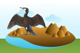cormorant