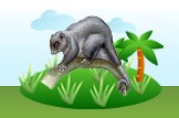 cuscus