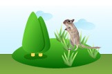 gerbil