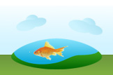 goldfish