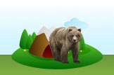 Grizzly Bear
