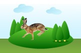 Hare