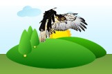 Hawk