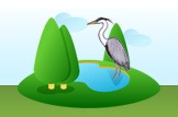 Herron