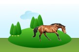 horse