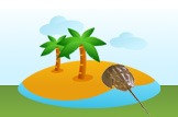 Horseshoe Crab