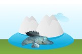 icefish
