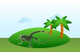 iguana