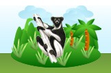 indri