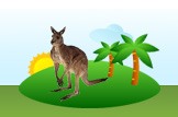 Kangaroo