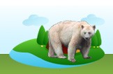 Kermode Bear