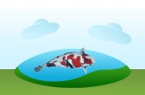 koi