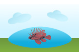 lionfish