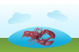 Lobster