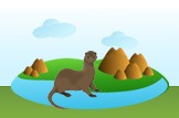 mink