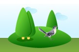 mockingbird