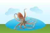 mollusk