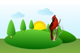 Northern Cardinal