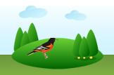 oriole