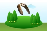 owl