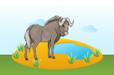 ox
