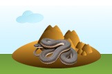 Queen Snake