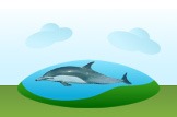 River Dolphin