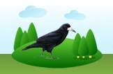 rook