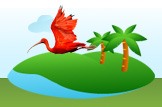 Scarlet Ibis