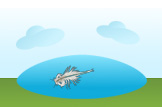 Sea Monkey