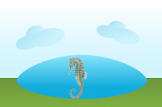 seahorse