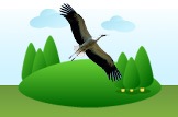 stork