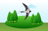 Swallow