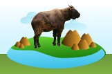 takin