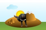 Tasmanian Devil